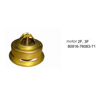 Termostat Toyota motor...